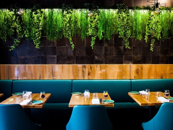 MENÙ DEGUSTAZIONE DEL 5/08/2020